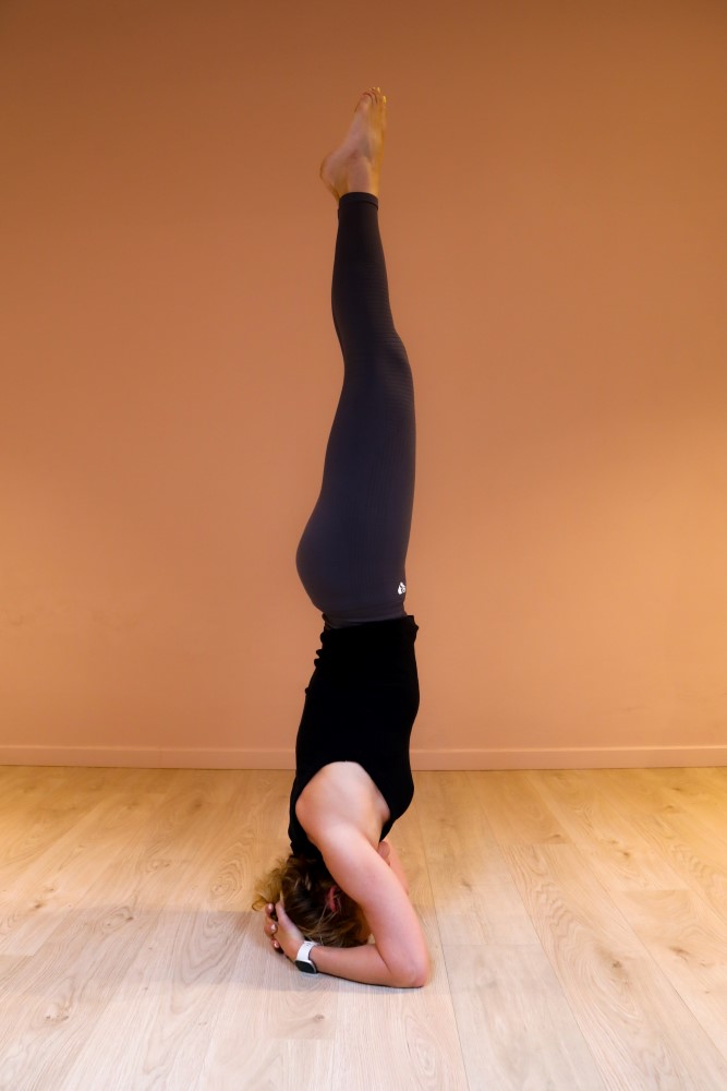 headstand - workshop - The House of Yoga